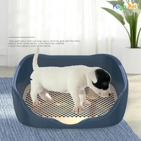 Thích Ứng Với Cuộc Sống Trong Căn Hộ