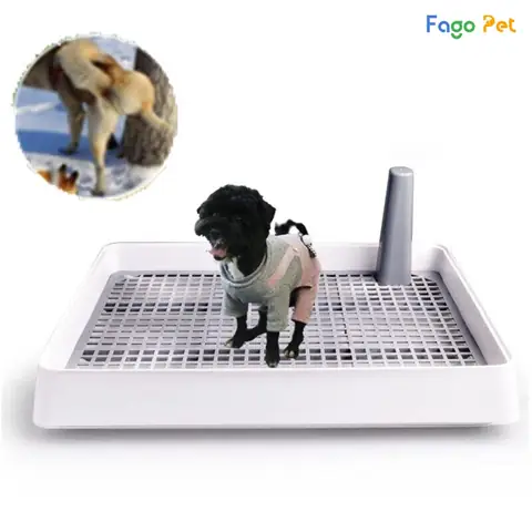 Nhà Vệ Sinh Cho Chó Đực