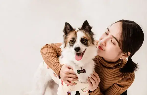 Hanoi Pet Adoption Cho Tặng Chó Mèo Miễn Phí