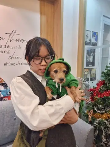 Nhận Nuôi Chó Tại Hà Nội