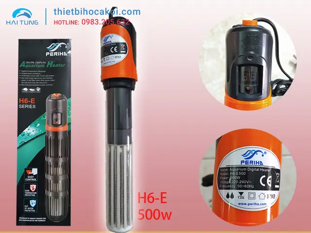 Nhiệt Độ Sưởi Cho Cá Rồng