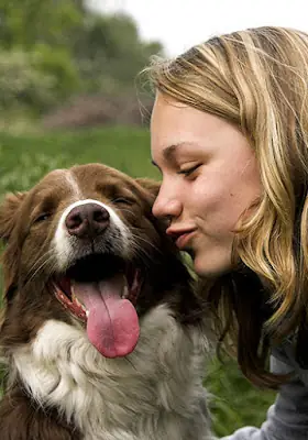 Chơi Chó, Chó Liếm Mặt Chơi Chó, Chó Liếm Mặt