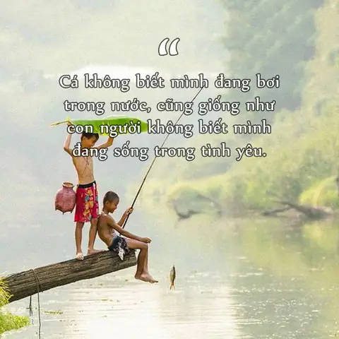 Những Câu Nói Hay Về Cá