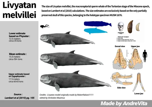 Những Loài Cá Nguy Hiểm Nhất Đại Dương