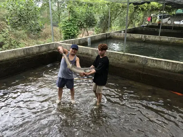 Vai Trò Sinh Thái Và Tầm Quan Trọng Của Cá Sụn Vai Trò Sinh Thái Và Tầm Quan Trọng Của Cá Sụn