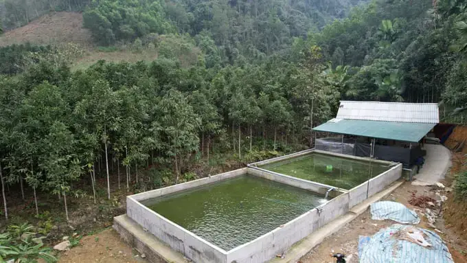 Các Bộ Cá Sụn Chính Và Đại Diện Nổi Bật Các Bộ Cá Sụn Chính Và Đại Diện Nổi Bật