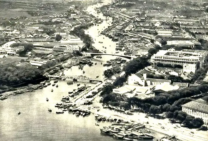 Nơi Bán Cá Cảnh Ở Gò Vấp: Trọn Gói Kinh Nghiệm Chọn Shop Uy Tín