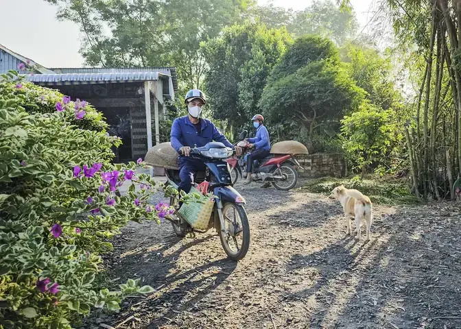 Cá Lia Thia Đồng: Nét Đẹp Thuần Việt Trong Hồ Cá Cảnh Cá Lia Thia Đồng: Nét Đẹp Thuần Việt Trong Hồ Cá Cảnh