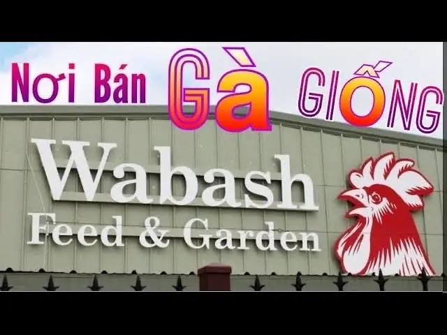 Nơi Bán Cá Nâu Giống: Toàn Cảnh Thị Trường & Hướng Dẫn Chọn Mua Nơi Bán Cá Nâu Giống: Toàn Cảnh Thị Trường & Hướng Dẫn Chọn Mua