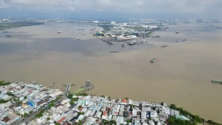 Nơi Bán Chó Ở Nha Trang: Hướng Dẫn Tìm Mua Chó Thú Cưng Uy Tín, Chất Lượng