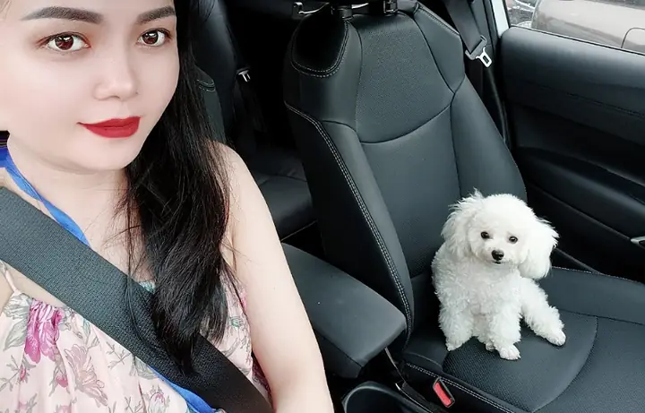 Giới Thiệu Về Shop Chó Cảnh Nguyễn Nga - Nơi Bán Chó Cảnh Poodle Uy Tín.