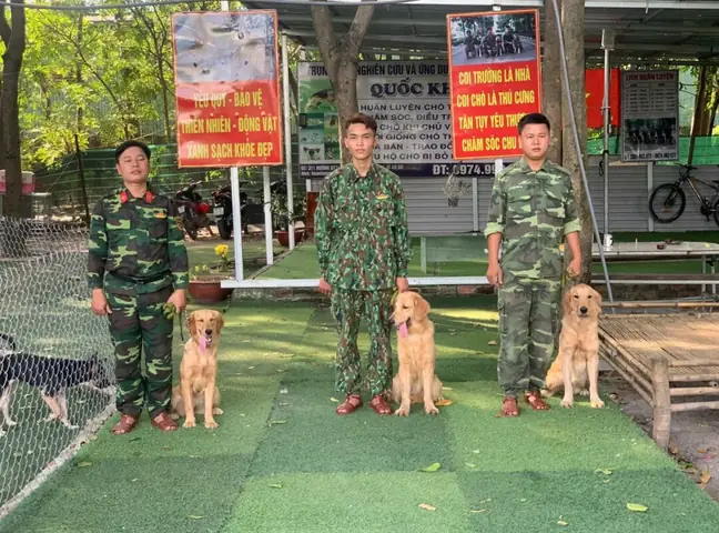 Tiãªu Chã­ Chá»n Næ¡i Huáº¥n Luyá»n Chã³ Tphcm Tá»t Nháº¥t