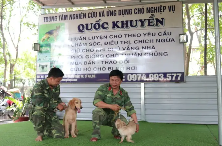 Tiãªu Chã Chá»n Næ¡i Huấn Luyá»n Chã³ Tphcm Tá»t Nhất Tiãªu Chã Chá»n Næ¡i Huấn Luyá»n Chã³ Tphcm Tá»t Nhất