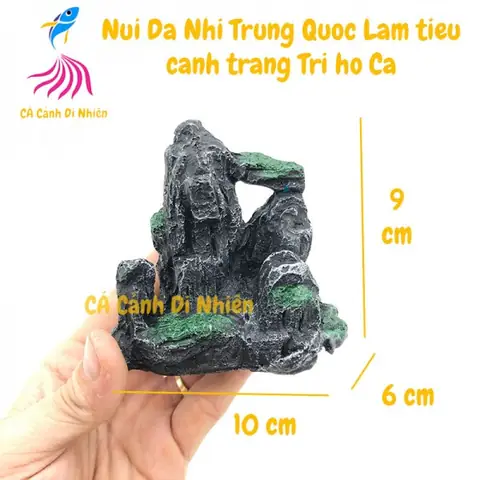 Núi Trang Trí Hồ Cá: Bí Quyết Tạo Tiểu Cảnh Tự Nhiên Cho Bể Cá Cảnh Núi Trang Trí Hồ Cá: Bí Quyết Tạo Tiểu Cảnh Tự Nhiên Cho Bể Cá Cảnh