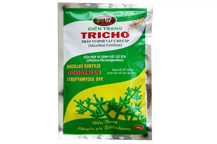 Nguyên Nhân Nước Ao Nuôi Cá Có Màu Xanh