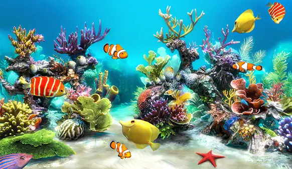 Khoai Lang: Bí Mật Của Siêu Thực Phẩm Và 16 Cách Chế Biến Món Ăn Vặt Siêu Hấp Dẫn Bạn Không Thể Bỏ Qua