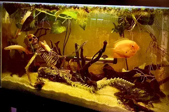 Giảm Stress Và Tạo Cảm Giác An Toàn Giảm Stress Và Tạo Cảm Giác An Toàn