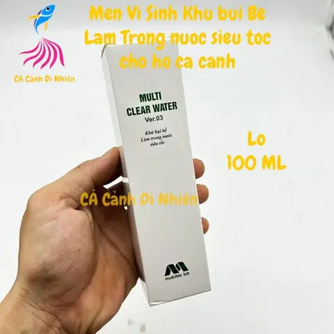 Nước Hồ Cá Có Bụi: Nguyên Nhân & Cách Xử Lý Hiệu Quả Cho Bể Cá Sạch Đẹp