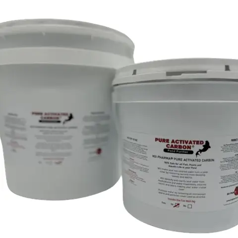 Nước Hồ Cá Có Bụi: Nguyên Nhân & Cách Xử Lý Hiệu Quả Cho Bể Cá Sạch Đẹp