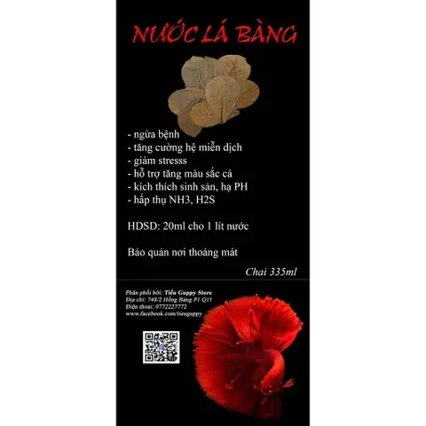 Nước Lá Bàng Cho Cá Rồng: Hướng Dẫn Chi Tiết Từ A Đến Z