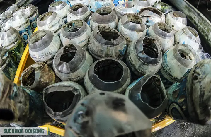 Nuôi Cá Cảnh Trong Chai Phế Liệu, Lão Nông Hà Nội Thu Về Hàng Trăm Triệu Đồng - Ảnh 3. Nuôi Cá Cảnh Trong Chai Phế Liệu, Lão Nông Hà Nội Thu Về Hàng Trăm Triệu Đồng - Ảnh 3.