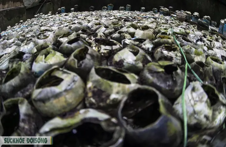 Nuôi Cá Cảnh Trong Chai Phế Liệu, Lão Nông Hà Nội Thu Về Hàng Trăm Triệu Đồng - Ảnh 2. Nuôi Cá Cảnh Trong Chai Phế Liệu, Lão Nông Hà Nội Thu Về Hàng Trăm Triệu Đồng - Ảnh 2.