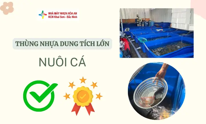 Các Hình Thức Nuôi Cá Phổ Biến Hiện Nay