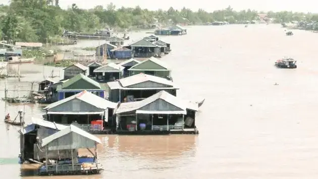 Kỹ Thuật Và Quy Trình Nuôi Cá Bè Cơ Bản