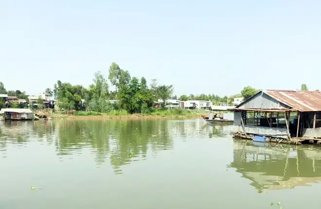 Các Loài Cá Phổ Biến Được Nuôi Bè Ở An Giang