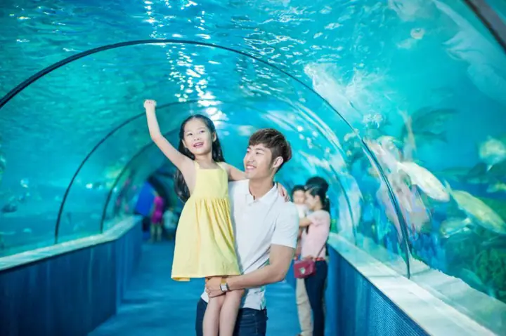 [times City Hà Nội] - Vé Vào Cửa Trực Tiếp Thuỷ Cung Vinpearl Aquarium