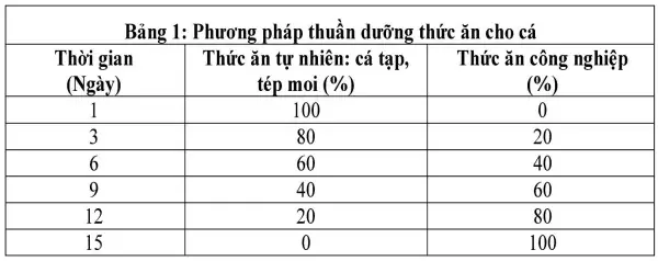 Nuôi Cá Bống Bớp Năng Suất Cao Vùng Nước Lợ