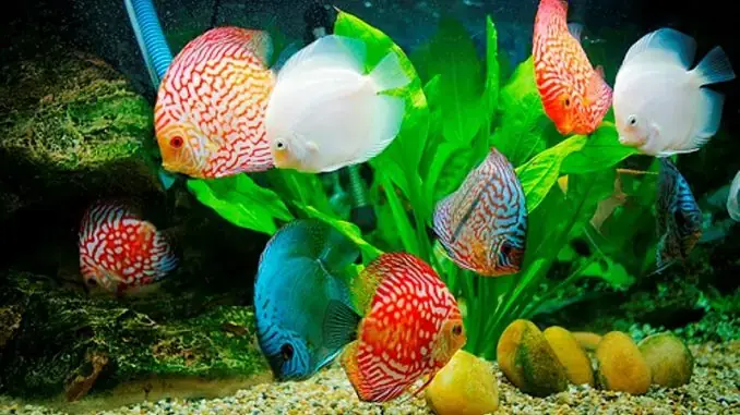 Bước 2: Lắp Đặt Thiết Bị