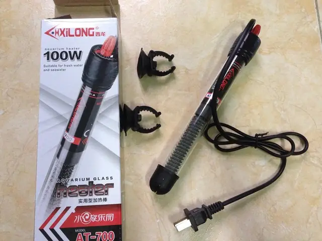 Nuôi Cá Cảnh Ngoài Trời Mùa Đông