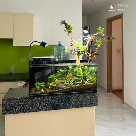 Phong Thủy Và Tâm Linh Phong Thủy Và Tâm Linh