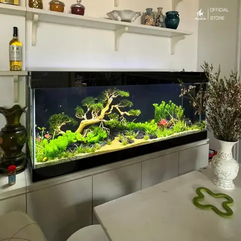 Tạo Không Gian Sống Động Và Trang Trí Cho Ngôi Nhà Tạo Không Gian Sống Động Và Trang Trí Cho Ngôi Nhà