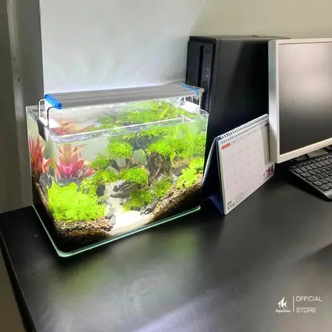 Giảm Căng Thẳng Và Lo Âu Giảm Căng Thẳng Và Lo Âu