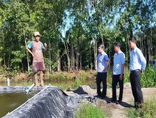 Nuôi Cá Chạch Lấu Giống Trong Bể Lót Bạt Ở Hậu Giang, Nông Dân Có Thu Nhập Cao, Nhiều Người Tò - Ảnh 2.