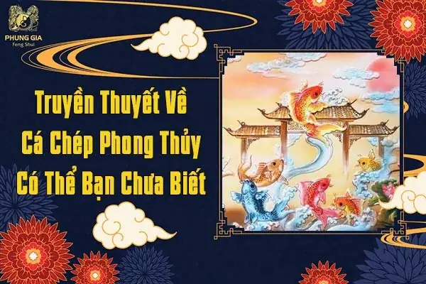 Truyền Thuyết Về Cá Chép Phong Thủy Có Thể Bạn Chưa Biết