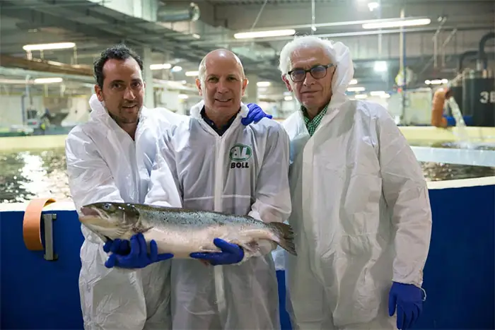 Bí Mật Về Công Nghệ Nuôi Cá Trên Sa Mạc Bí Mật Về Công Nghệ Nuôi Cá Trên Sa Mạc