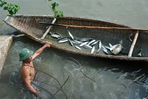 Hướng Dẫn Nuôi Cá Đối Mục Trong Nước Ngọt Hiệu Quả Hướng Dẫn Nuôi Cá Đối Mục Trong Nước Ngọt Hiệu Quả