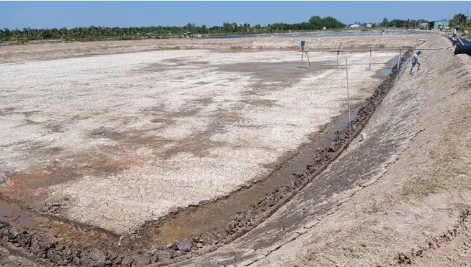 Sổ Tay Hướng Dẫn Thực Hành Nuôi, Quản Lý Sức Khỏe Cá Bống Kèo ...