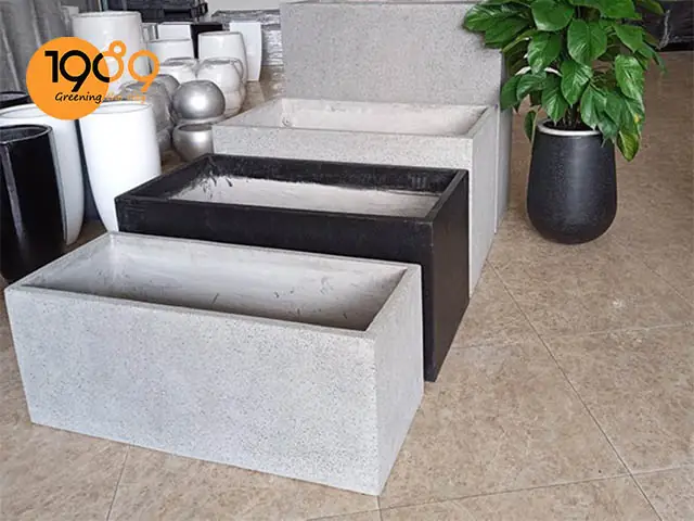 Nuôi Cá Koi Trong Chậu Cây: Xu Hướng Trang Trí Sân Vườn Độc Đáo