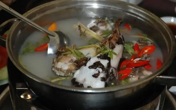 Hướng Dẫn Chuẩn Bị Bể Nuôi Cá Mao Ếch Cảnh: Môi Trường Hoàn Hảo