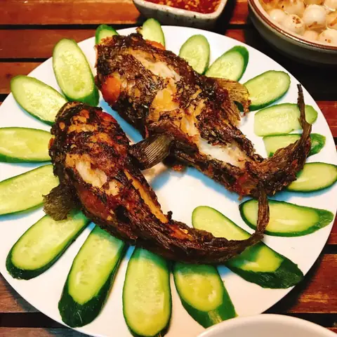 Ở Việt Nam Cá Mao Ếch Được Tìm Thấy Ở Đâu?