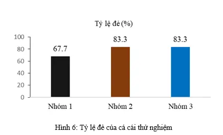 Nuôi Cá Nâu Sinh Sản