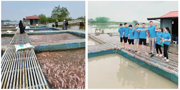 Nuôi Cá Nước Lợ