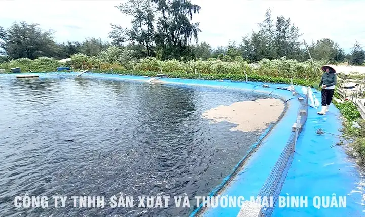 Kỹ Thuật Nuôi Cá Lóc Trong Bể