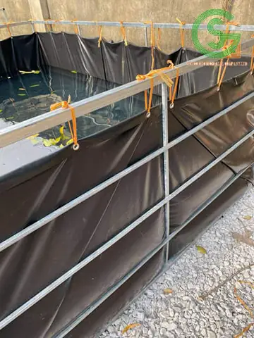Chuẩn Bị Bể Lót Bạt Nuôi Cá Chuẩn Bị Bể Lót Bạt Nuôi Cá