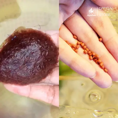 Cung Cấp Thức Ăn Đa Dạng