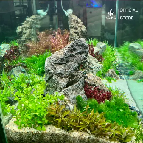 Setup Không Gian Ẩn Náu